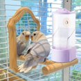 thumbnail image 4 of Wzzjkit Feeding Device Scattering and Rice Husk Separation Food Box Automatic Feeder, 4 of 5
