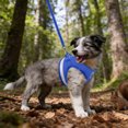 thumbnail image 4 of ERK 1Pcs Cat Harness And Leash For Walking Adjustable Vest With Reflective Strap For Puppy, 4 of 4