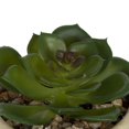 thumbnail image 5 of hometrends Cozby Faux Succulent in Tan Pot, 5 of 5