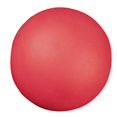 thumbnail image 1 of Champion Sports Coated High Density Foam Ball (8.5-Inch), 1 of 1