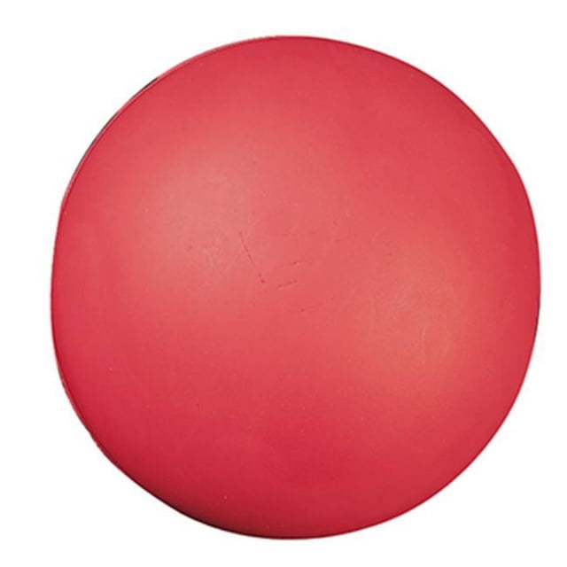 Champion Sports Coated High Density Foam Ball (8.5-Inch)