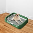 thumbnail image 1 of Runquan Indoor Dog Potty Tray Indoor Dogs Potty Train Pads for Small and Medium Dogs green, 1 of 8