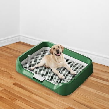 Runquan Indoor Dog Potty Tray Indoor Dogs Potty Train Pads for Small and Medium Dogs green