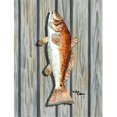 thumbnail image 1 of Carolines Treasures 8489GF 11 x 15 Po. Poisson Rouge Drapeau Jardin Taille, 1 of 3