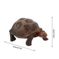 thumbnail image 3 of IROINID Tortoise Animal Figurines Toys Home Decorate Preschool Educational, 3 of 3