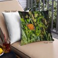 thumbnail image 1 of Ahgly Company Insects Butterfly Outdoor Throw Pillow, 18 inch by 18 inch, 1 of 6