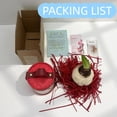 thumbnail image 4 of GSDWIUEW Double Amaryllis Bulbs for Fall Planting Large Hippeastrum Perennial Flowers Bulbs Size 10-11 Inch Perfect for Home Decor Garden, Gift with Wrapping and Planting Instruction (1, TIKA Dragon), 4 of 4
