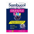 thumbnail image 1 of Sambucol Jr Chew Cold and Flu, 1 of 4