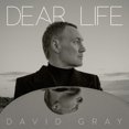 thumbnail image 2 of Dear Life - Seaweed Green, 2 of 2