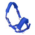 thumbnail image 2 of Collier de Tête de Cheval Épais Équitation Stable Protecteur - Multicolore, Bleu P, 2 of 5