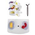 thumbnail image 2 of Filfeel Modèle de Colonne Vertébrale Modèle Lombaire Humain Durable PVC, Plus Clairement pour le Bureau à Domicile en Plein Air, 2 of 8