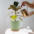thumbnail image 3 of QCQHDU 2 Pack Plant Pot, Green Plastic Indoor Planter With Drainage Holes And Removable Base, 3 of 6