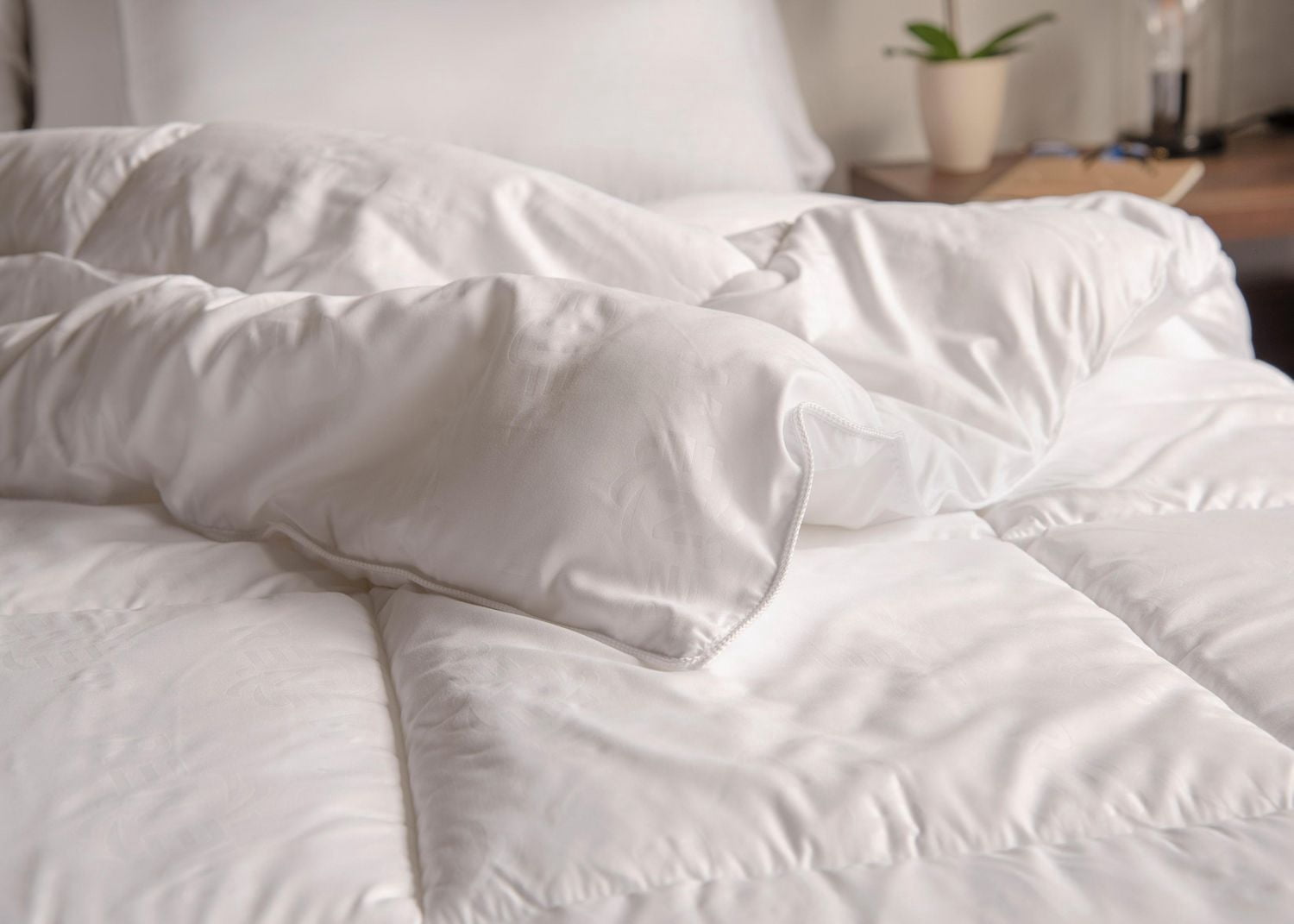 Couvre-matelas en polyester de la collection Chateau pour lit simple