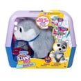 thumbnail image 1 of Little Live Pets Aïe Aspen - Exclusivité Walmart, 1 of 5