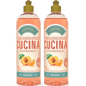 Fruits & Passion [Cucina] Peach and Mandarin Concentrated Dish Detergent Bottle 500 ml (2 pack)