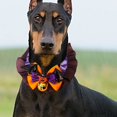 thumbnail image 5 of Collier pour Animaux de Compagnie Halloween pour Chats et Chiens avec Bande Réglable Nœud Papillon Mignon Accessoire de Costume, 5 of 5