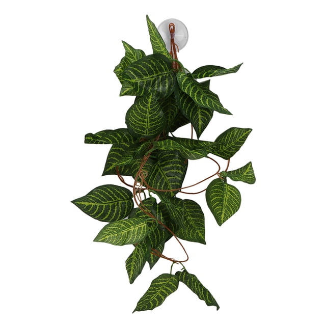Simulation Rattan Landscaping, Neatly Cut Edges No Burrs Variety Of Models Hanging Plant False Vine For Aquariums For Daily For Reptile Boxes For Fish Tanks NFF-84 Green Star Leaf