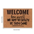 thumbnail image 3 of Runner Rug Funny Floor Mat Front Door Mat Outdoor Entrance Door Mat Entrance Door Entry Mat Absorbent Bathroom Fun Floor Mat Welcome Mat for Entryway,Patio,Garage My Past Orders 16x24IN, 3 of 6