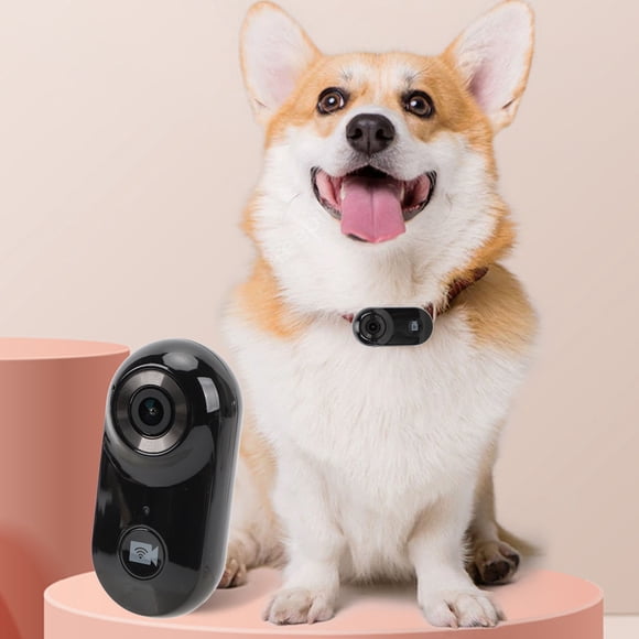 Caméra Col de Chat 1080P, Mini Caméra HD pour Chats, Caméra d'Enregistrement Vidéo 32GB avec Sangle de Sécurité en Cuir Réglable, Caméra de Sport pour Animaux, Collier de Caméra pour Chat, pour Usage Intérieur Extérieur