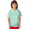 thumbnail image 1 of Hanes T-Shirt à Col Rond à Manches Courtes ComfortWash pour Garçons, m, Honeydew, 1 of 1