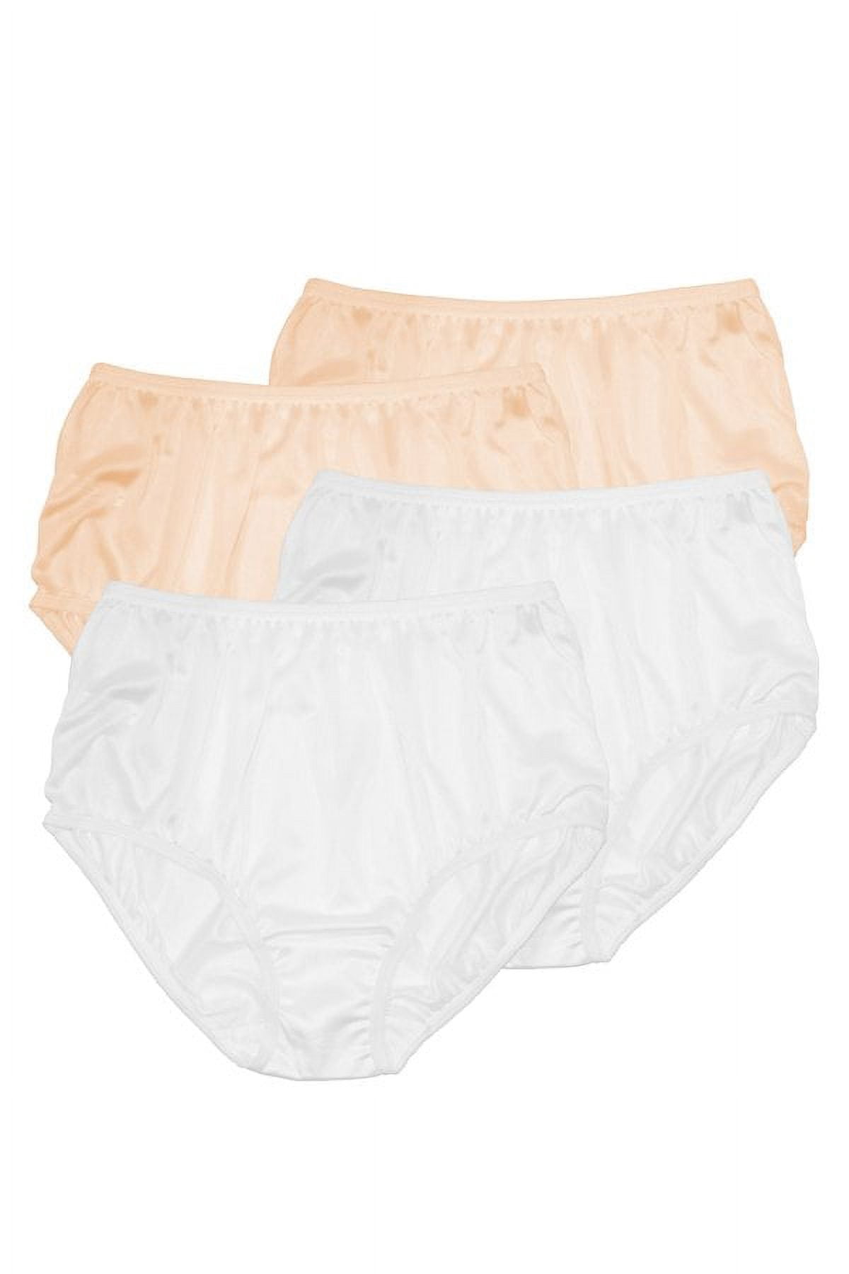 Teri Lingerie Plain Jane Full Cut Nylon Brief 4-Pack 331