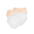 thumbnail image 1 of Teri Lingerie Plain Jane Full Cut Nylon Brief 4-Pack 331, 1 of 4