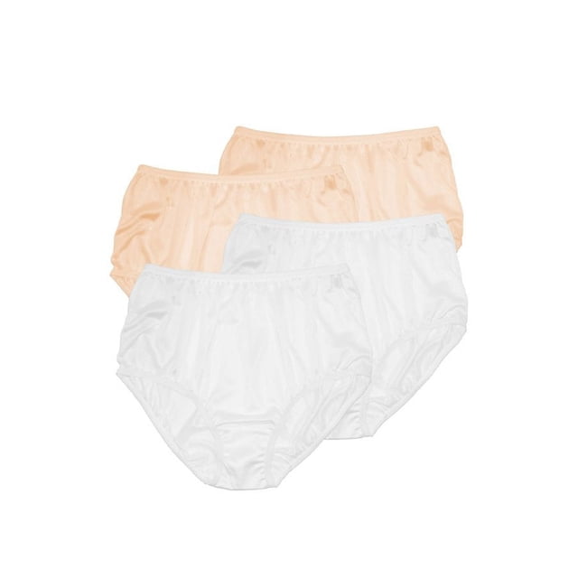 Teri Lingerie Plain Jane Full Cut Nylon Brief 4-Pack 331