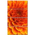 thumbnail image 2 of Orange Abstract Flower and Petals - Floral Canvas Art Print, 2 of 3