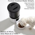 thumbnail image 4 of iHome Automatic Feeder Without Stains, 4 of 5
