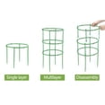thumbnail image 5 of D Plant Support Cage For Climbing Vines And Tomatoes Stackable And Adjustable Stakes With Stabilizing Ring For Garden Flower And Vegetable Growth Assistance, 5 of 5