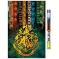 thumbnail image 1 of The Wizarding World: Harry Potter - Emblèmes de maison, 1 of 4