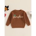 thumbnail image 4 of FOCUSNORM Chandails d'Halloween pour Tout-Petits Citrouille Brodée Lettre Manches Longues Col Rond Tricot Côtelé, 4 of 9