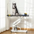 thumbnail image 2 of PawHut Height Adjustable Pet Grooming Table for Dogs Black, 2 of 10