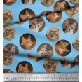 thumbnail image 3 of Soimoi Tissu Poly Georgette Motif Animal Visage de Chat au Mètre 52 Pouces de Large, 3 of 3