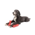 thumbnail image 3 of One Paw, 2 pack Rubber Chew Dog Toy, Extra Large, Treat Dispenser, 3 of 3
