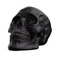 thumbnail image 2 of Todaioua Resin Skull, Human Head Model for Home Decoration, Halloween Statue, Skull Model for Bookshelf and Desktop, 2 of 7