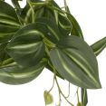 thumbnail image 2 of Bouclair Green Artificial Fittonia in Wood Pot, 2 of 2