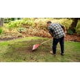 thumbnail image 2 of Scotts Turf Builder Quick + Thick Grass Seed Dense Shade, 2 of 7