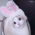 thumbnail image 4 of LSLJS Cat Hat Cat Costume Bunny Hat with Ears Funny Cat Hat for Cats and Small Dogs Kitten Puppy Party Costume Accessory Headwear(Cute Style), Pet Hat Rabbit Ears, 4 of 8