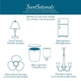 thumbnail image 2 of ScentSationals - 15 Watt Accent Warmer Bulb, 2 of 4