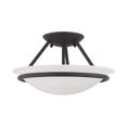 thumbnail image 4 of Livex 4823-04 2 Light Bowl Semi-Flush Mount&amp;#44; Black, 4 of 4