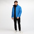 thumbnail image 4 of Regatta Manteau Imperméable et Coupe-Vent pour Homme Dover, 4 of 5