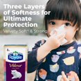 thumbnail image 4 of Royale Velour Facial Tissue, 18 Flat Boxes, 88 Tissues per box, 4 of 9