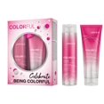 thumbnail image 1 of Joico ColorFul Anti-Fade Holiday Shampoo 10oz & Condtioner 8oz Duo, 1 of 2