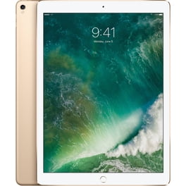 Refurbished Apple iPad Pro 9.7 (1st Gen) A1673 (WiFi) 128GB Space