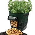 thumbnail image 1 of CEHVOM Clearance Sales!Potato Planter PE Container Bag Pouch Growing Pot Side Window, 1 of 9
