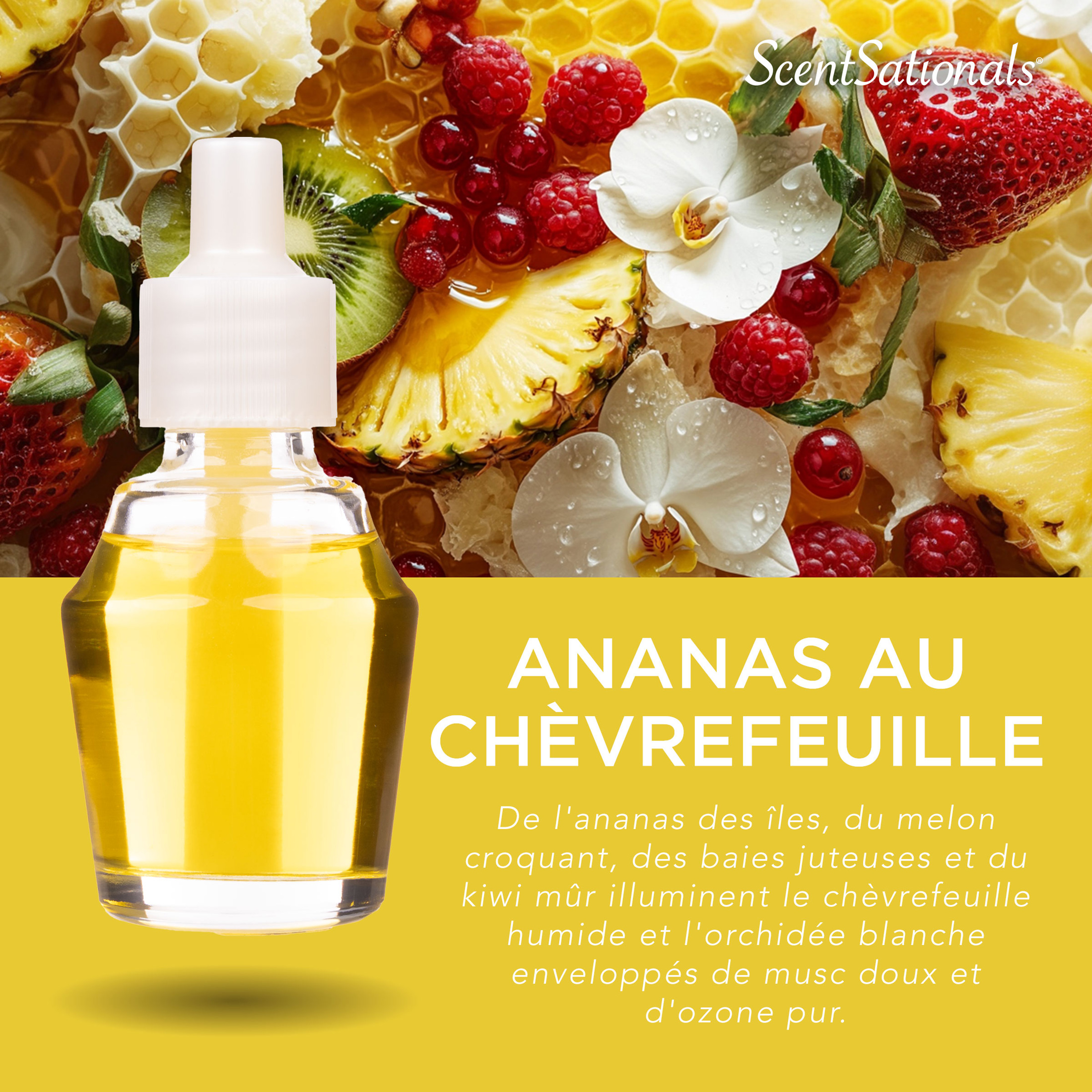 D'huile parfumée Scentsationals - Ananas au chèvrefeuille