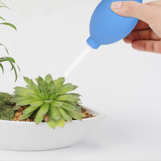 Dust Blower Camera, Multi-functional TPE Plant Blowing Ball Plant Dust Blower, Comfortable Grip For Fleshy Keyboard Pianos Camera Lenses