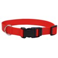 thumbnail image 1 of Pet Attire by Coastal Large 18-26" Red Adjustable Buckle Dog Collar, 1 of 8