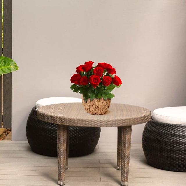 LSLJS Cache-Pots Panier de Rangement Plante Panier Tressé Jardinière Pot de Fleurs Jardin, Cadeaux pour Femmes/hommes